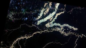 불법 금 채굴, 마드레 데 디오스, 페루.