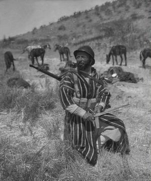 모로코 구미에르