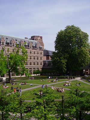 안트베르펜 대학교