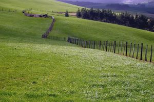 양 농장의 울타리