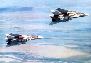 1986년, AIM-54 피닉스를 포함한 여러 종류의 공대공 미사일을 장착한 이란 공군 F-14 톰캣.