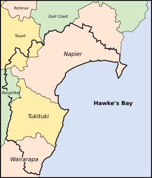 호크스 베이 일반 선거구