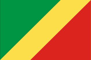 콩고 공화국의 국기