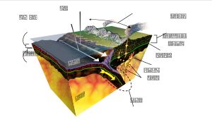 섭입대의 다이어그램. 거대역단층은 섭입판의 상단에 위치하며, 상반판과 접촉하는 곳에 있다.