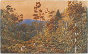 알프레드 샤프(Alfred Sharpe)가 1890년에 그린 황금빛 저녁, 와이헤케 섬(A golden eve, Waiheke Island), 뉴질랜드 박물관 테 파파 통가레와(Museum of New Zealand Te Papa Tongarewa) 소장