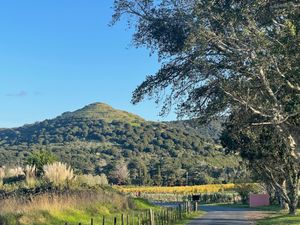 와이헤케의 스토니리지 포도원에서 촬영한 파(pā) 유적지 테 푸티키 오 카후마타모모에(Te Pūtiki o Kahumatamomoe), 즉 테 푸티키 오 카후(Te Pūtiki o Kahu)