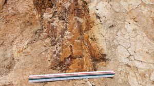 주 단층의 단층핵 부분