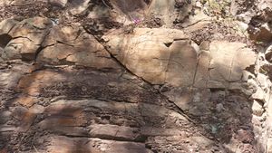 부산국가지질공원 두송반도 지질명소, 경상 누층군 다대포층의 정단층