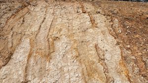 경주시 천북면 물천리 연일층군 천북 역암층의 단층 노두