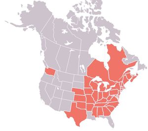 2018년 당시 백색코증후군(White-nose syndrome)이 확인된 지역. 이 질병은 북미 박쥐 개체 수 감소의 주요 원인이다.