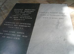 존 허셜(왼쪽, 검은 대리석)과 찰스 다윈(오른쪽, 흰 대리석)의 묘. 웨스트민스터 사원 내부