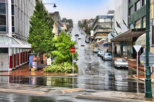 하이 스트리트 더니든 (2009)