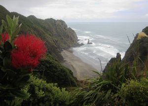 힐러리 트레일 전망