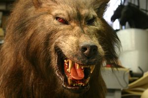 영화 300의 한 장면