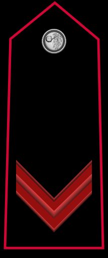 선발 카라비니에리 계급장