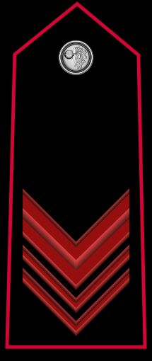 아푼타토 계급장