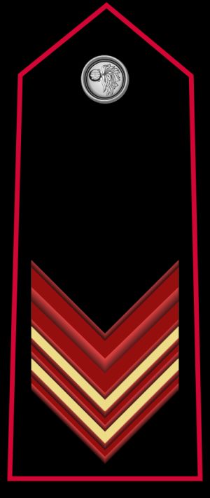 선발 아푼타토 계급장