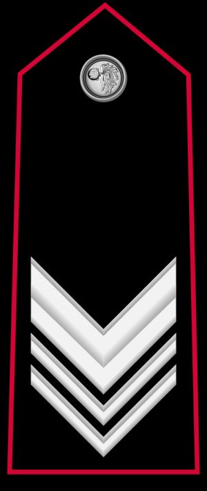 브리가디에레 계급장