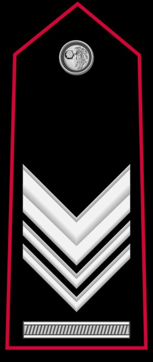 브리가디에레 카포 계급장