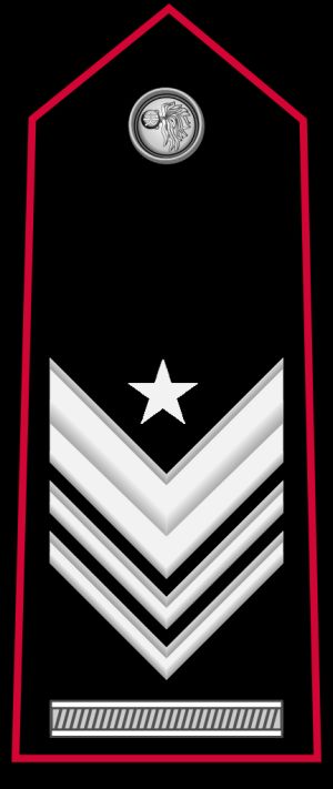 특별 임무 브리가디에레 카포 계급장