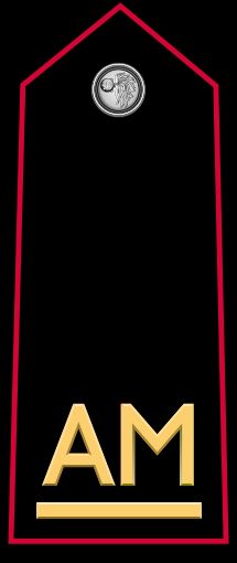 마레샬로 후보생 계급장