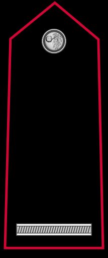 마레샬로 계급장