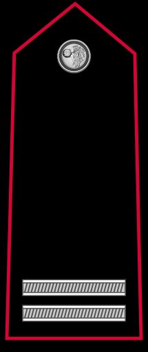 마레샬로 오르디나리오 계급장