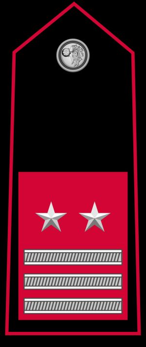 특별 임무 루오고테넨테 계급장