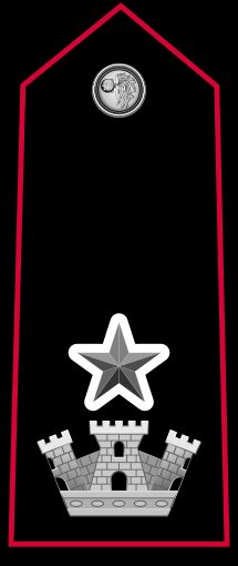 상급 임무 수행 카피타노 계급장