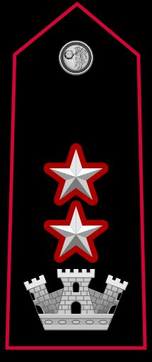 지휘관 테넨테 콜로넬로 계급장