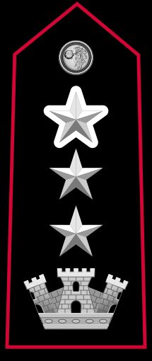 명예 콜로넬로 계급장