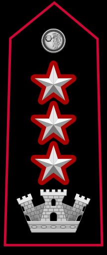 지휘관 콜로넬로 계급장
