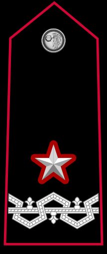 상급 임무 수행 콜로넬로 계급장