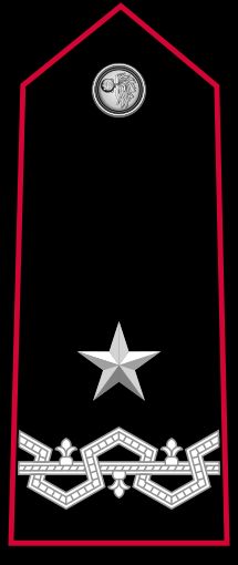 제네랄레 디 브리가타 계급장