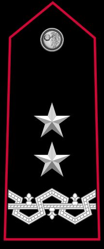 제네랄레 디 디비시오네 계급장