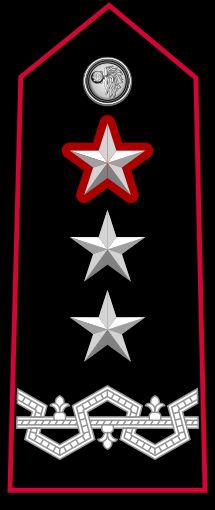 상급 임무 수행 제네랄레 디 디비시오네 계급장