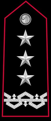 제네랄레 디 코르포 달마타 계급장