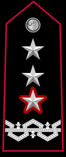 전 카라비니에리 부사령관 제네랄레 디 코르포 달마타 계급장