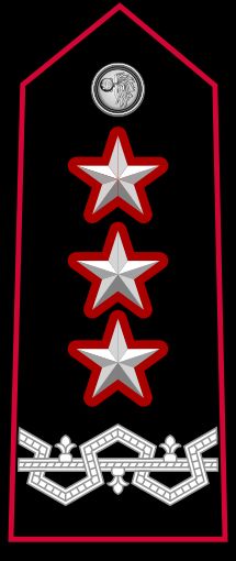 카라비니에리 부사령관 제네랄레 디 코르포 달마타 계급장