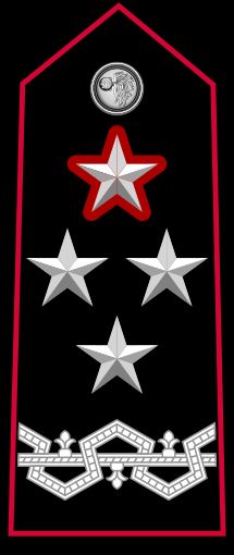 카라비니에리 사령관 제네랄레 디 코르포 달마타 계급장