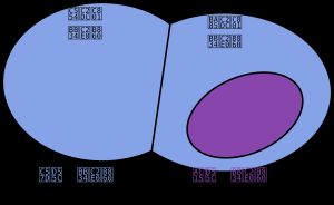 약한 무신론과 강한 무신론, 암시적 무신론과 명시적 무신론 사이의 관계를 보여주는 도표.