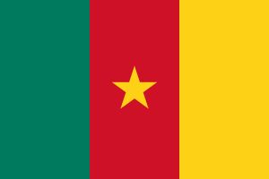 카메룬 국기