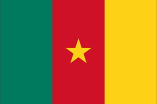 카메룬 국기