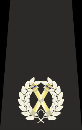 런던경찰청 지휘관의 견장