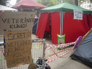 6월 7일, 탁심 게지 공원의 자원 진료소.