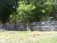 게지 공원을 둘러싸며 바리케이드를 설치한 경찰.