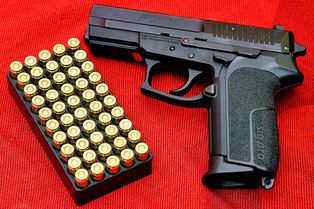 SIG Pro (SP 2022 변형)