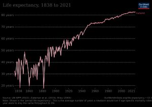아이슬란드의 평균수명, 1838년~2021년