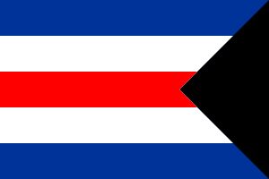 임시 민간 기장