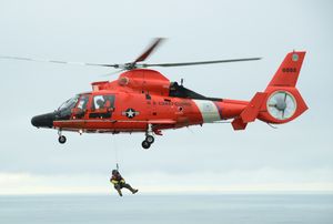훈련 중인 도팽 구조 버전